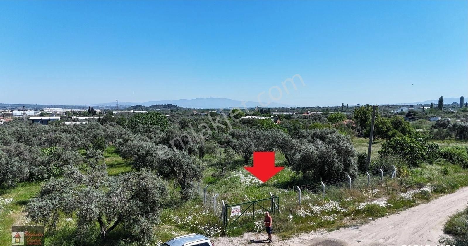 Kemalpaşa Armutlu Merkez'de Satılık 791m2 Yatırımlık Arazi - Görsel 19