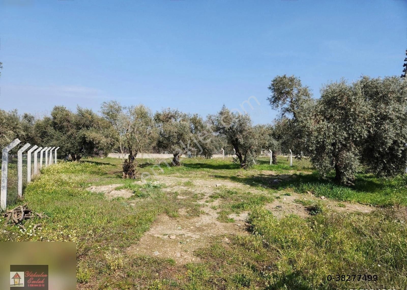 Kemalpaşa Armutlu Merkez'de Satılık 791m2 Yatırımlık Arazi - Görsel 5