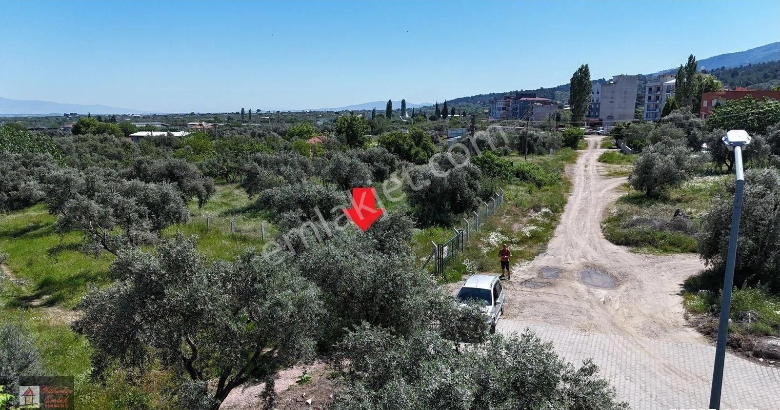 Kemalpaşa Armutlu Merkez'de Satılık 791m2 Yatırımlık Arazi - Görsel 23