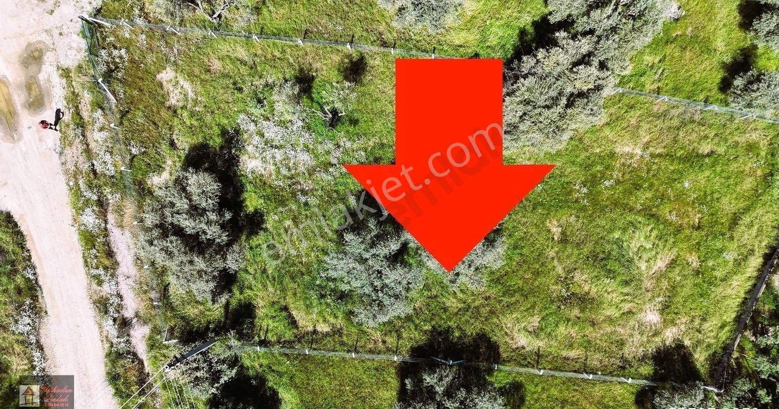 Kemalpaşa Armutlu Merkez'de Satılık 791m2 Yatırımlık Arazi - Görsel 14