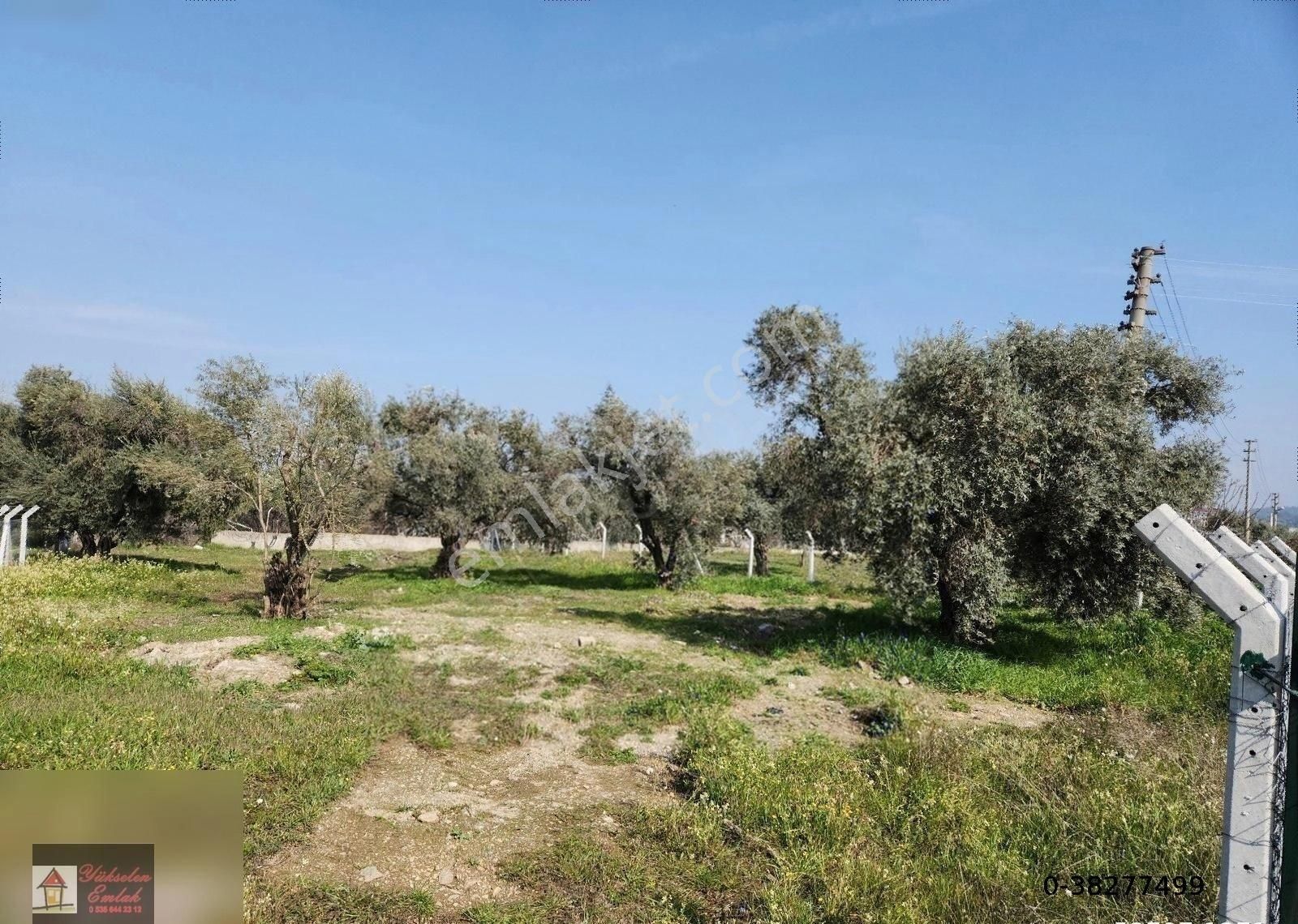 Kemalpaşa Armutlu Merkez'de Satılık 791m2 Yatırımlık Arazi - Görsel 12