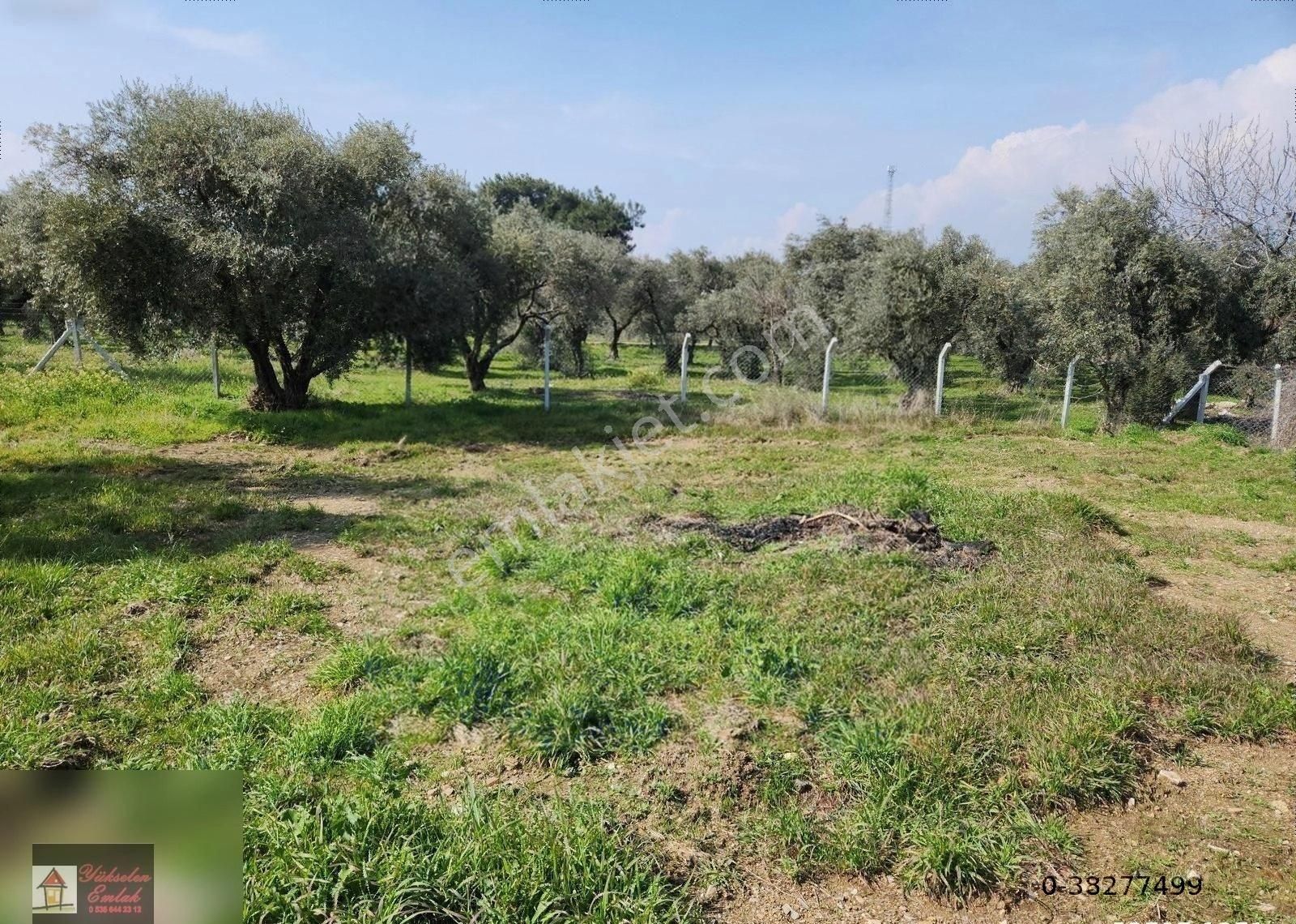 Kemalpaşa Armutlu Merkez'de Satılık 791m2 Yatırımlık Arazi - Görsel 26