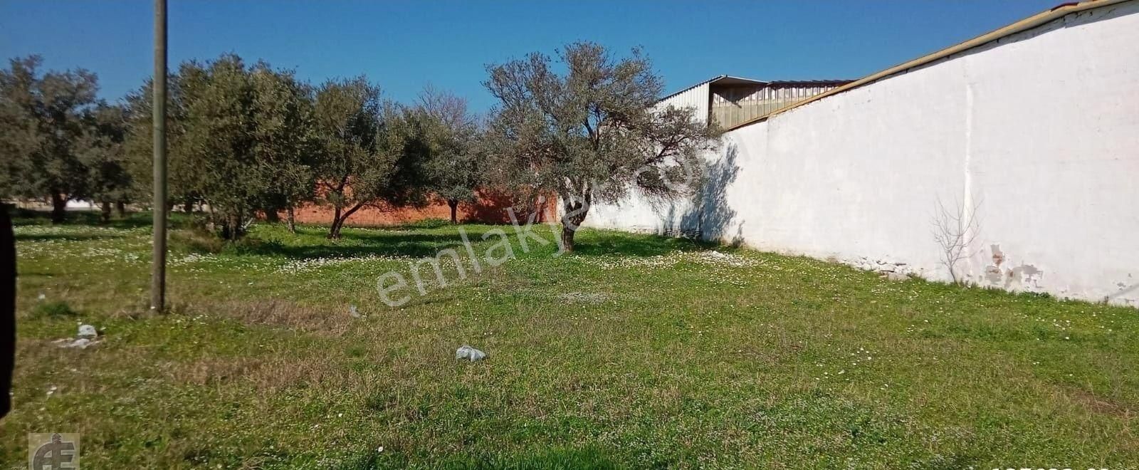 Akkuş Emlaktan Kupon Arsa