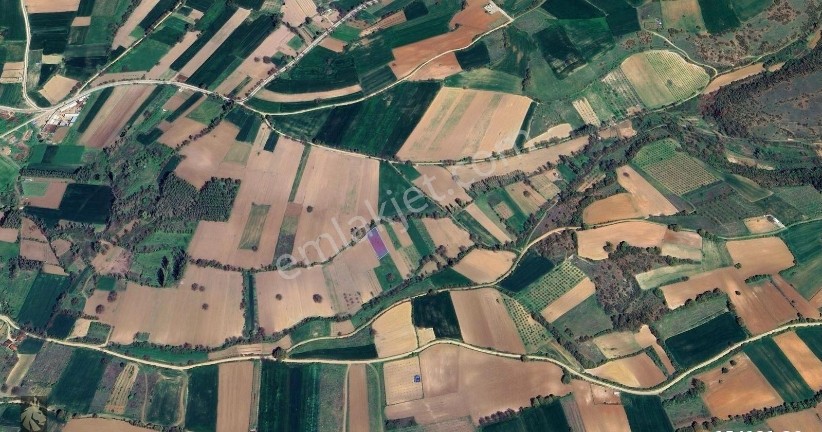 Kozluca’nın Doğusunda 1.365 M² Düzgün Formlu Arazi Satışta
