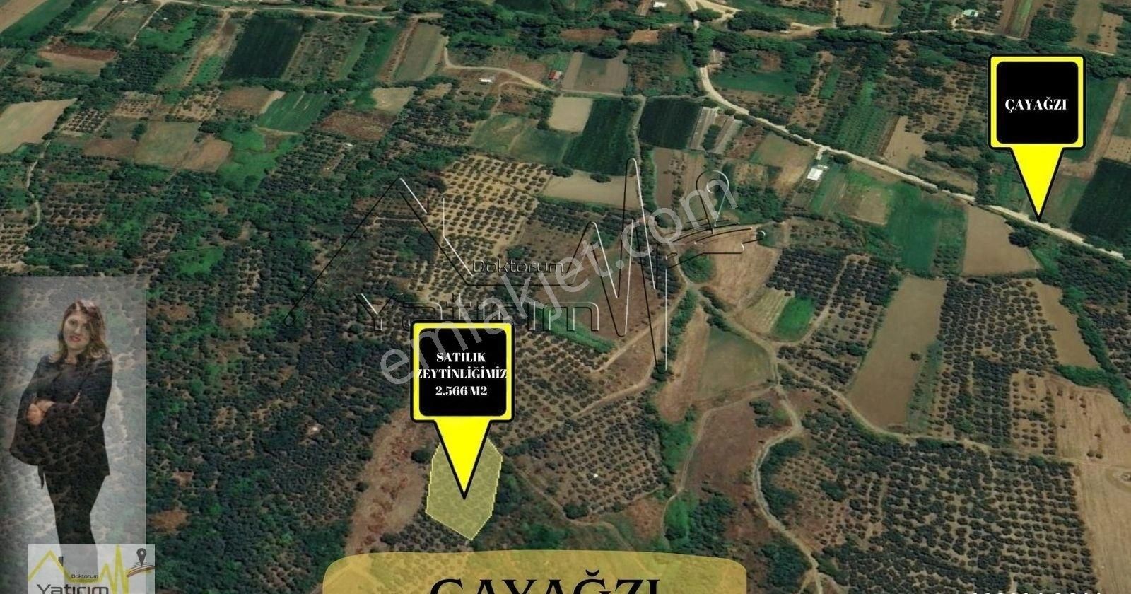 Erdek Çayağzı Mahallesinde 2.806 M2 Ve 2566 Satılık Arazimiz - Görsel 3
