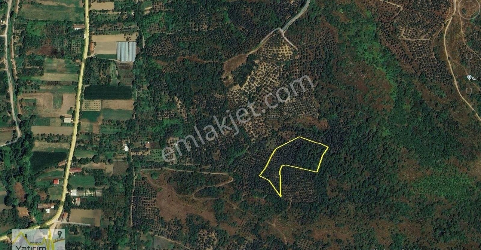 Erdek Çayağzı Mahallesinde 6770 M2 Satılık Zeytinlik - Görsel 2