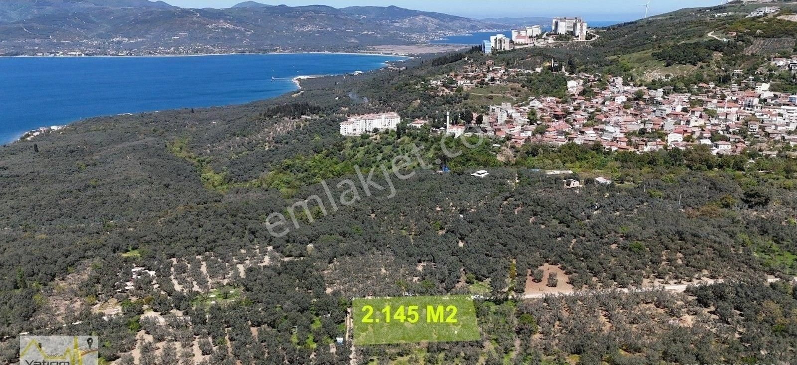 Bandırma Edincik’te 2.145 M² Satılık Zeytinlik – Yatırıma Uygun Fırsat Arazi - Görsel 2