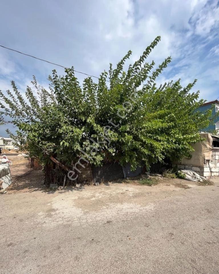 Bandırma 100.yıl Mahallesinde 118 M2 Satılık Arazi - Görsel 5