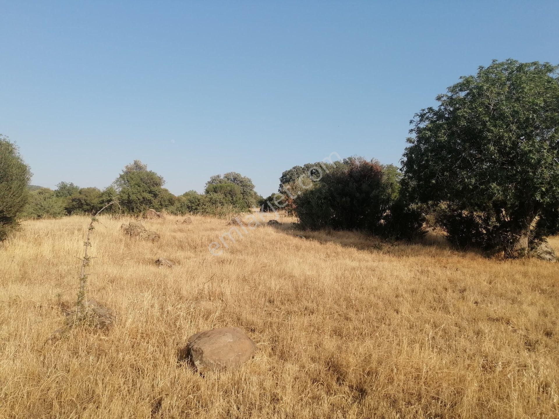Aliağa Hacıömerli'de Satılık 2100 M2 Tarla