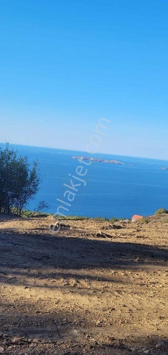 Lebi Derya Deniz Manzaralı Satılık Arazi - Görsel 9