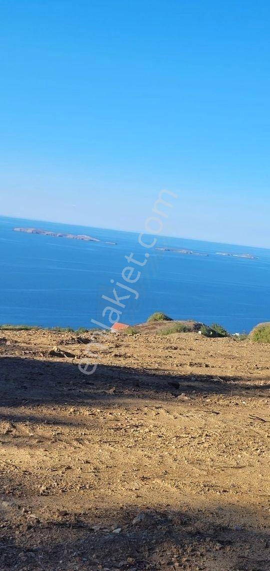 Lebi Derya Deniz Manzaralı Satılık Arazi - Görsel 22