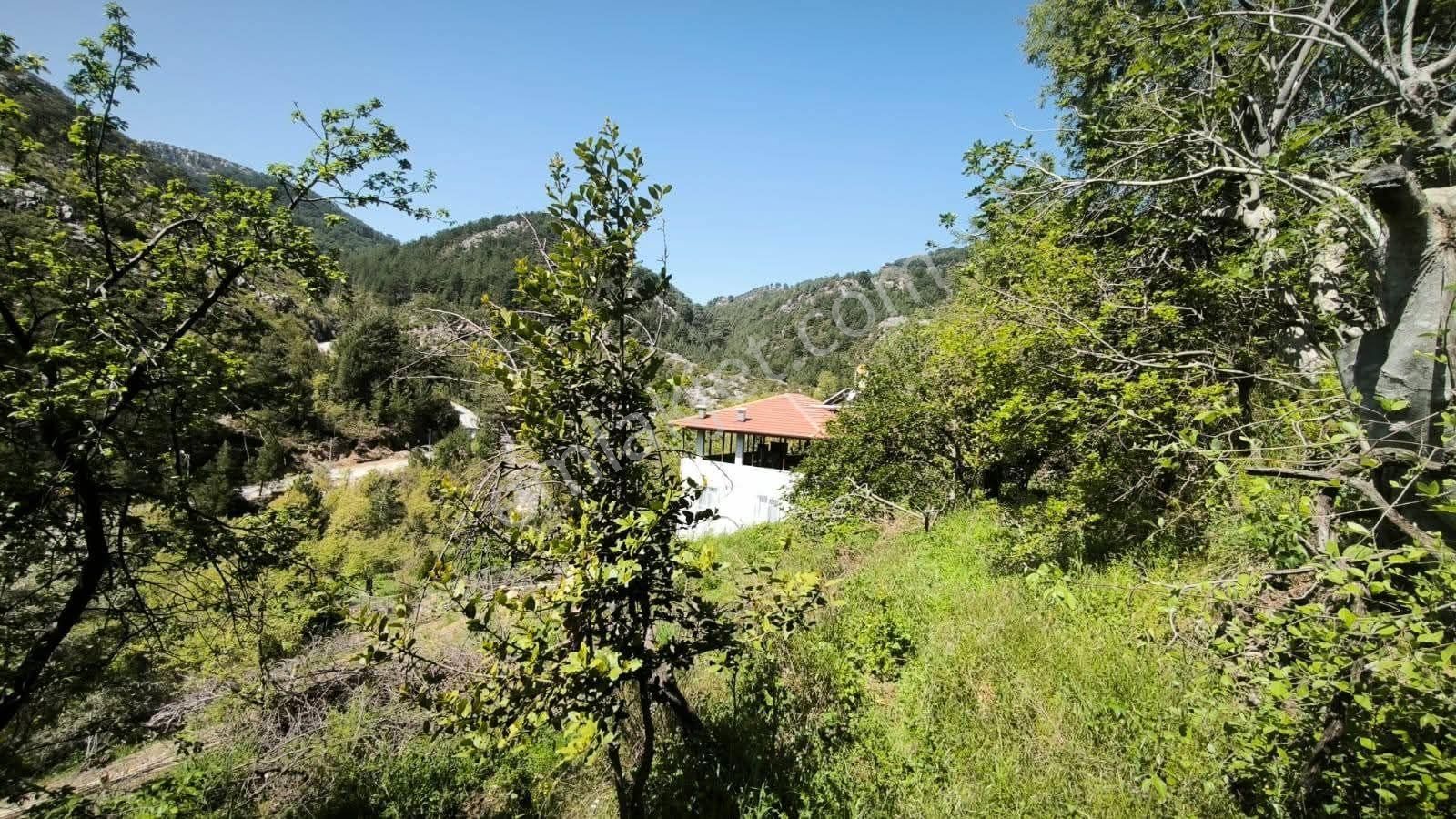 327 M² Yerimiz Satılıktır - Görsel 8