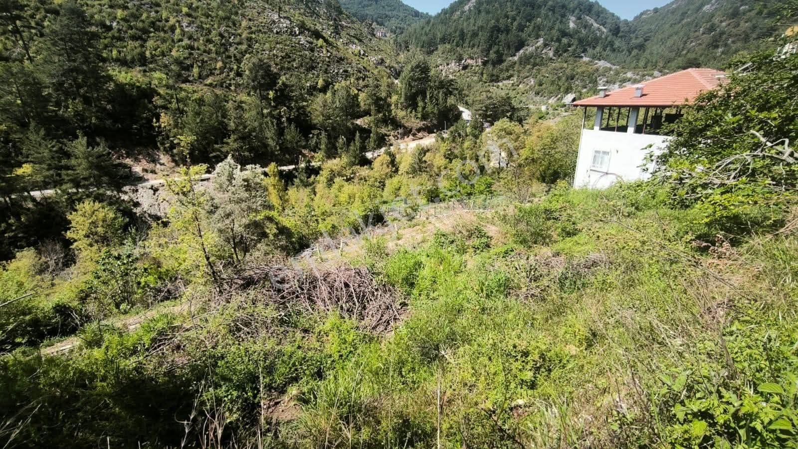 327 M² Yerimiz Satılıktır - Görsel 14