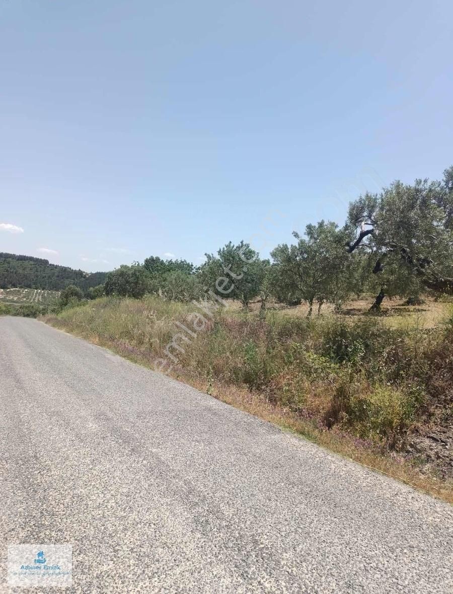 - Akhisar Yatağan 1350 M² - Asfalta Sıfır - Yatırımlık Tarla
