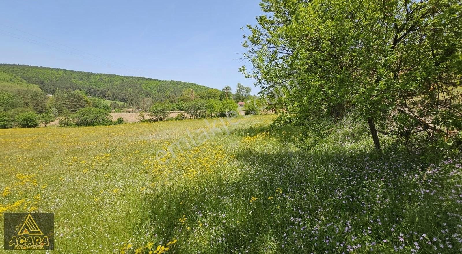 Acara'dan İznik Elmalı'da 3 Villalık/1.5 Dönüm İmarlı Arsa - Görsel 15