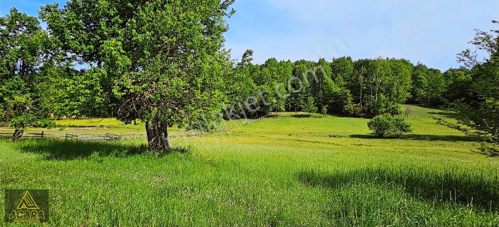 İznik Kırıntı'da/içinde Villası Olan,bölünebilir 6.961m² İmarlı - Görsel 31