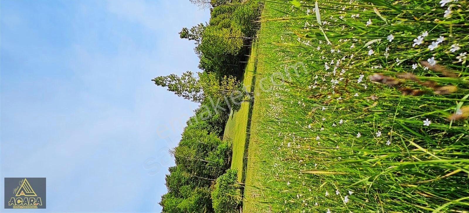 İznik Kırıntı'da/içinde Villası Olan,bölünebilir 6.961m² İmarlı - Görsel 10