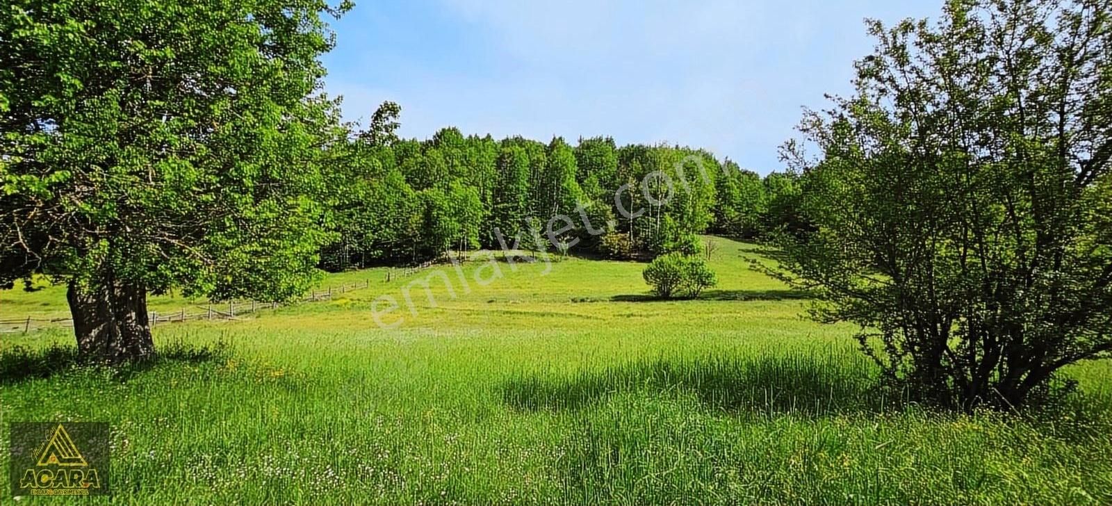 İznik Kırıntı'da/içinde Villası Olan,bölünebilir 6.961m² İmarlı - Görsel 17