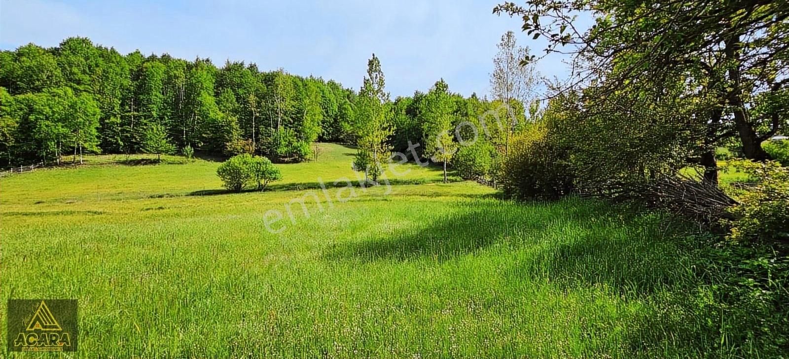 İznik Kırıntı'da/içinde Villası Olan,bölünebilir 6.961m² İmarlı - Görsel 27