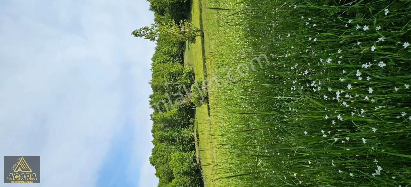 İznik Kırıntı'da/içinde Villası Olan,bölünebilir 6.961m² İmarlı - Görsel 6