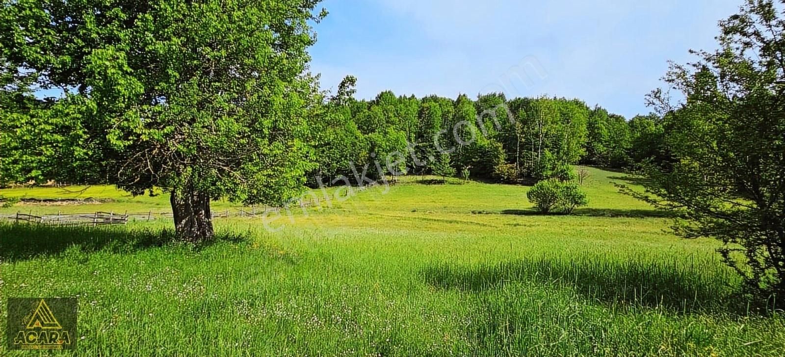 İznik Kırıntı'da/içinde Villası Olan,bölünebilir 6.961m² İmarlı - Görsel 35