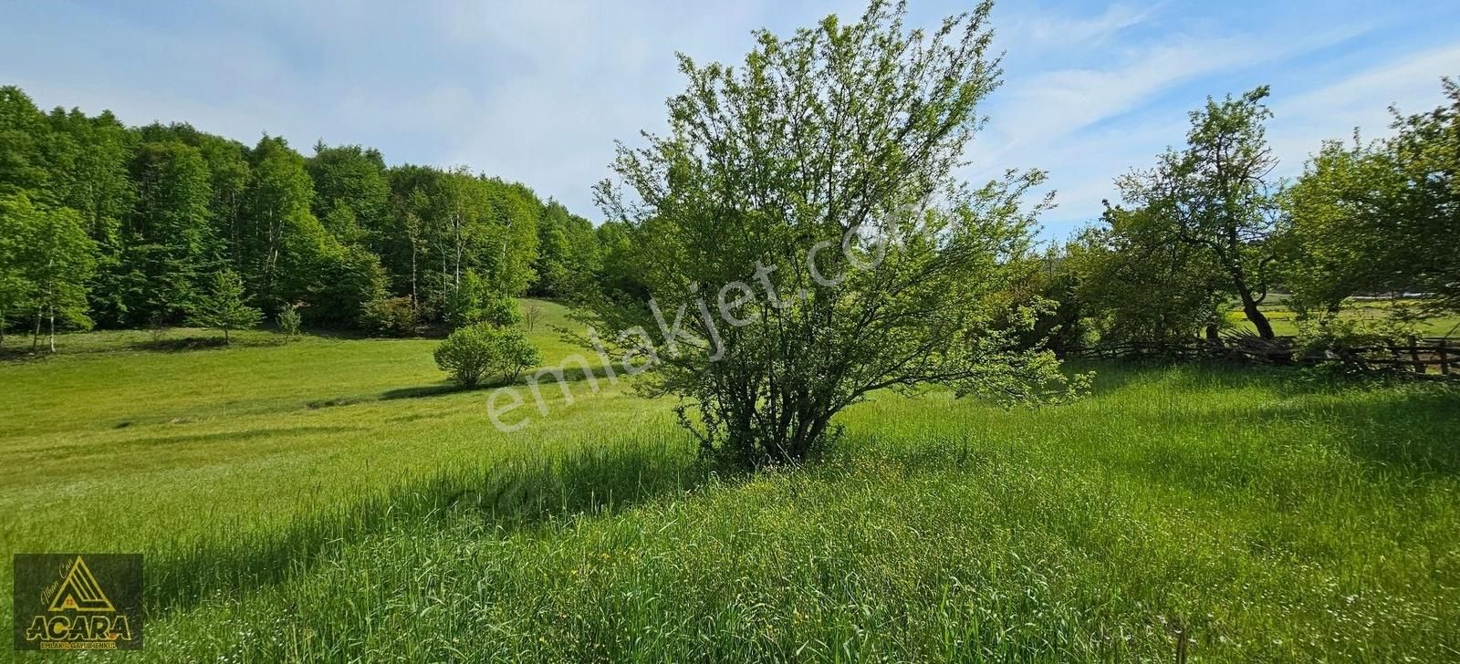 İznik Kırıntı'da/içinde Villası Olan,bölünebilir 6.961m² İmarlı - Görsel 9