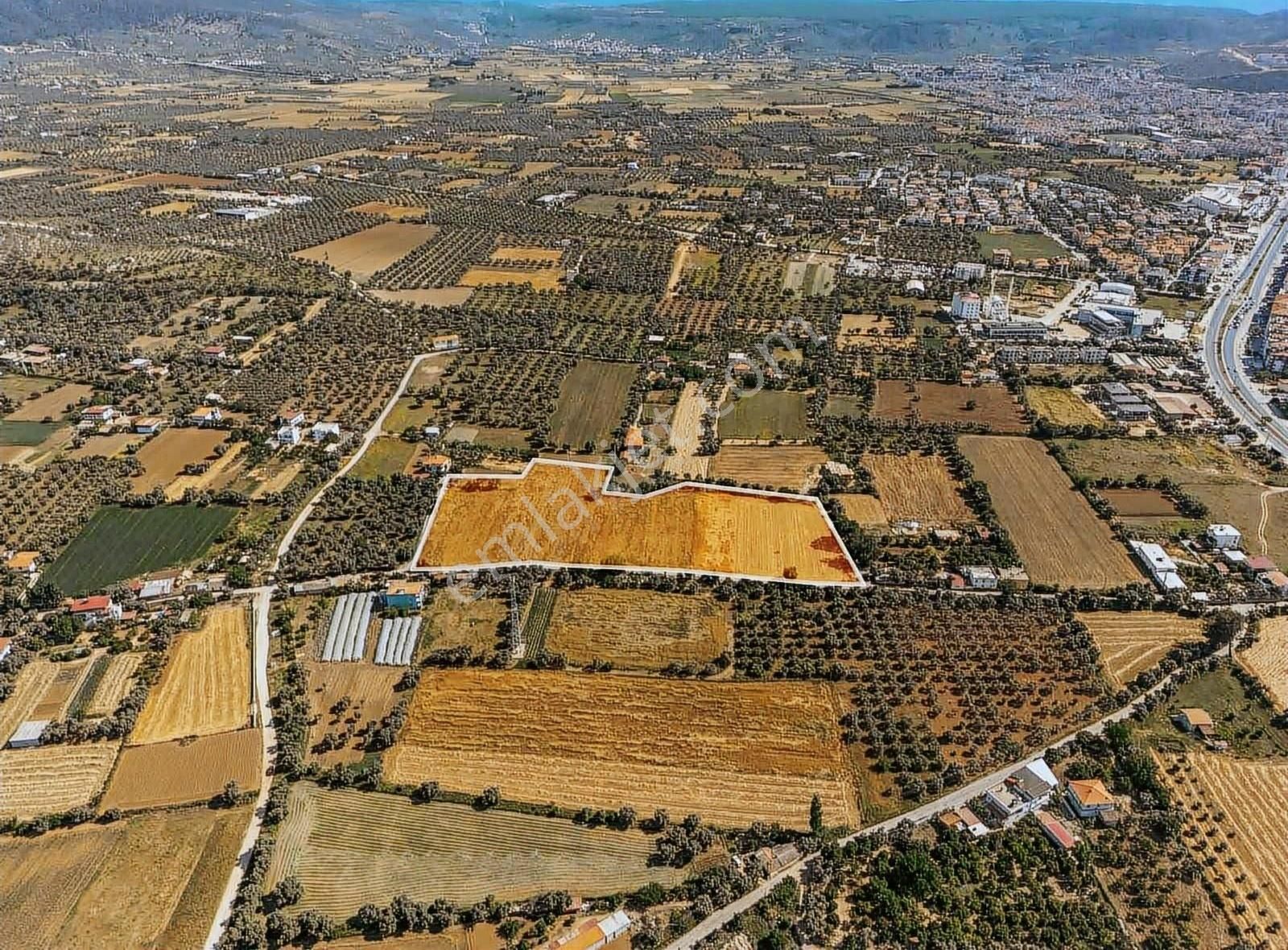 Milas Merkez'de 230m İmar Sınırında Fırsat Arazi - Görsel 4