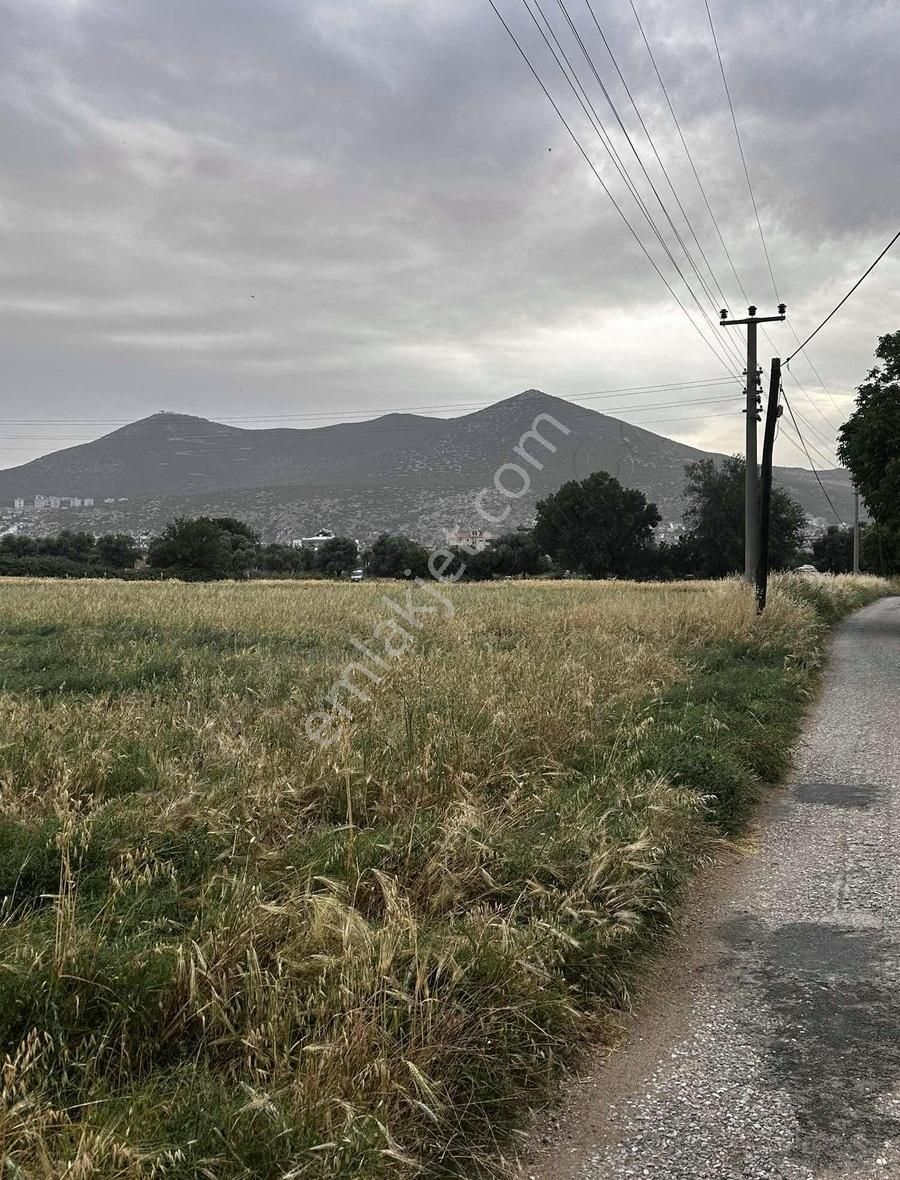 Milas Merkez'de 230m İmar Sınırında Fırsat Arazi - Görsel 14