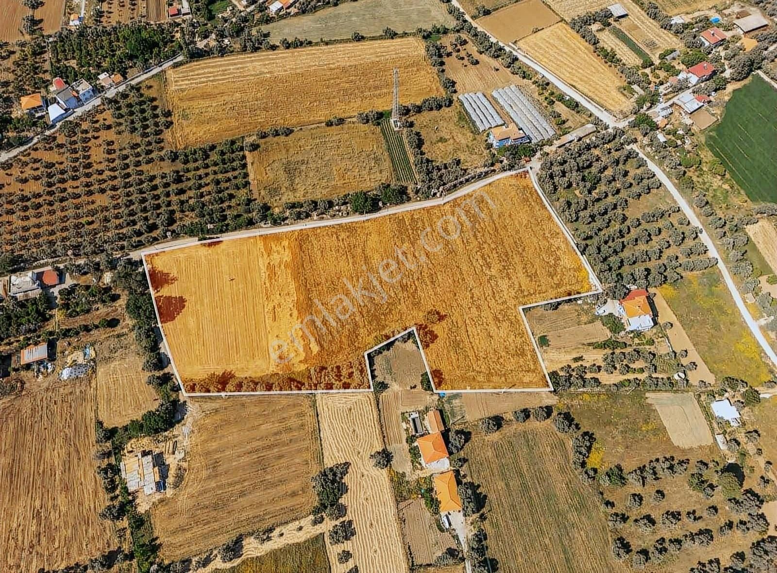 Milas Merkez'de 230m İmar Sınırında Fırsat Arazi - Görsel 3