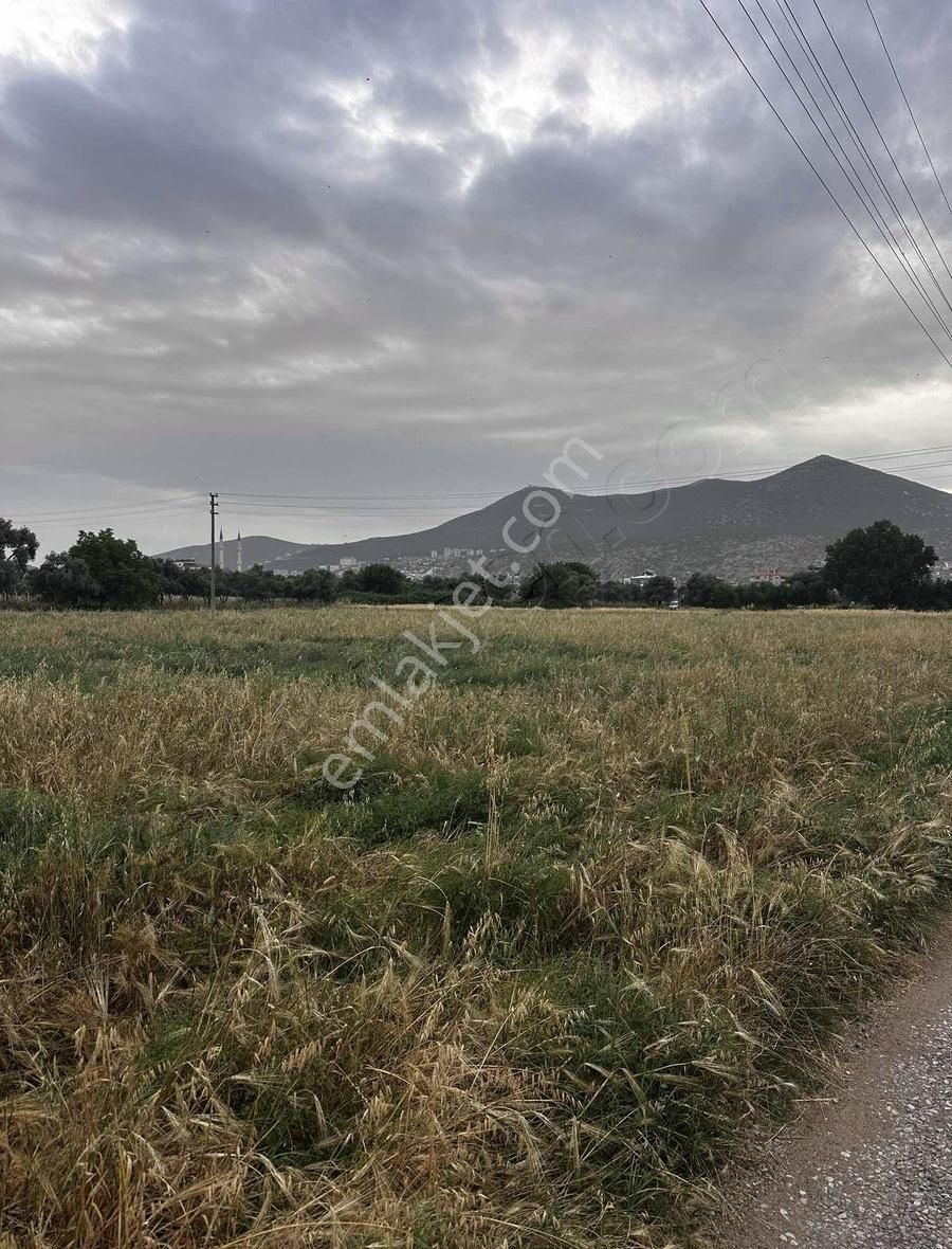 Milas Merkez'de 230m İmar Sınırında Fırsat Arazi - Görsel 8