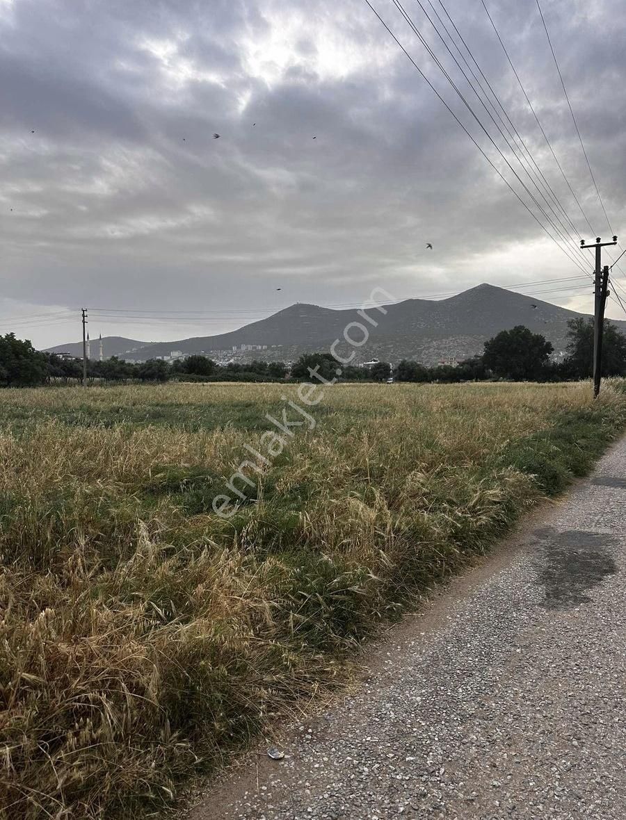 Milas Merkez'de 230m İmar Sınırında Fırsat Arazi - Görsel 9