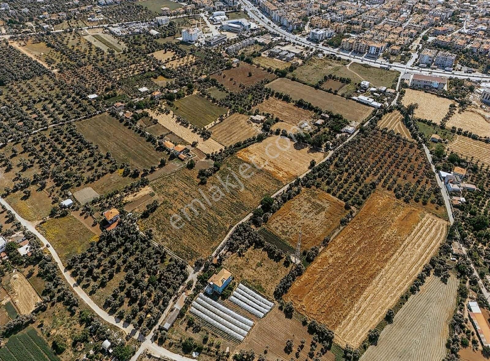 Milas Merkez'de 230m İmar Sınırında Fırsat Arazi - Görsel 5