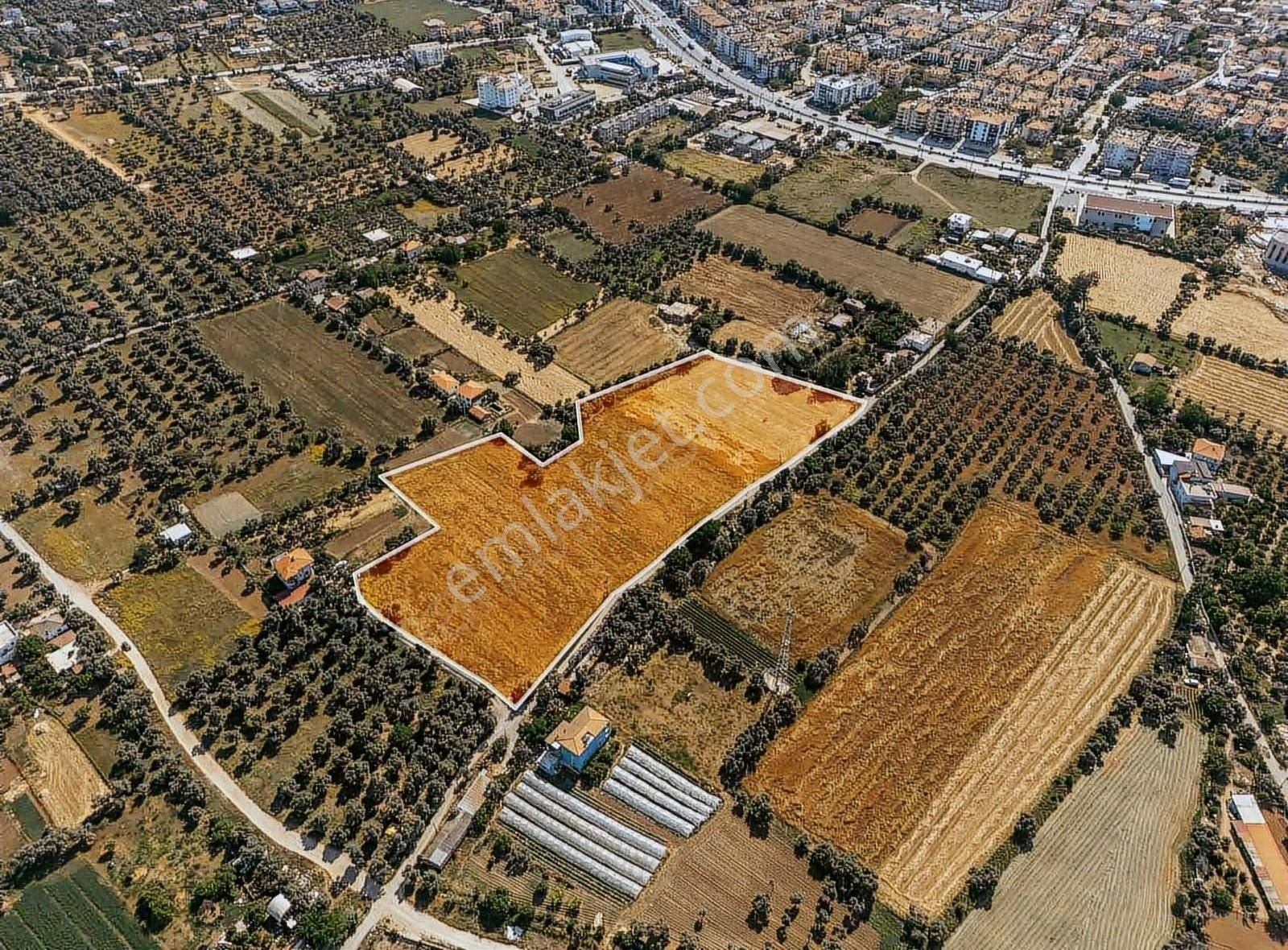 Milas Merkez'de 230m İmar Sınırında Fırsat Arazi - Görsel 10