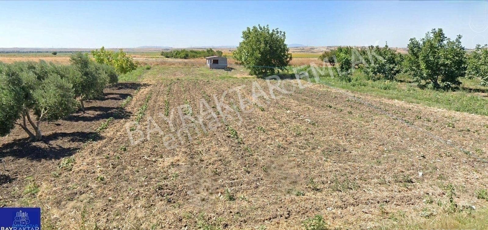 Bandırma Kuşcenneti'nde Yol Kenarında 591 M2 Köy Yakınında Satılık Arsa Bayraktar Emlak'tan