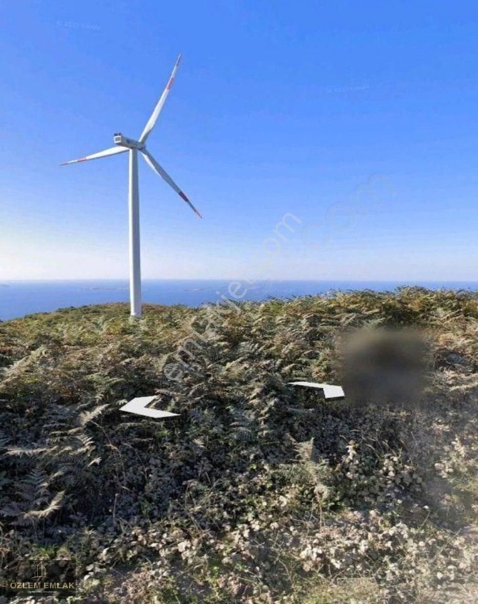 Bandırma Yenice Mahallesinde 4569 M2 Enfes Deniz Manzaralı Tarla