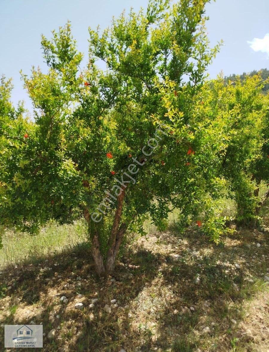 Aksu Yeşilkaraman Da Satılık Nar Bahçesi Yola Cephe 1.115 M2