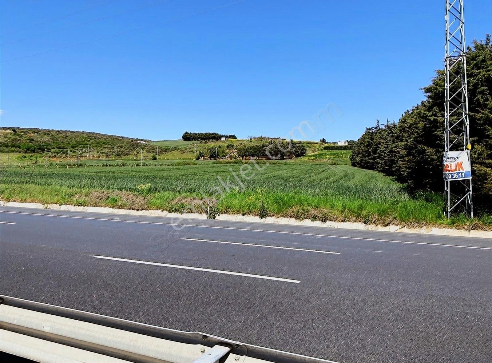 Çatalca Kestanelikte Muhteşem Konumda 8.000m2 Tarla - Görsel 7