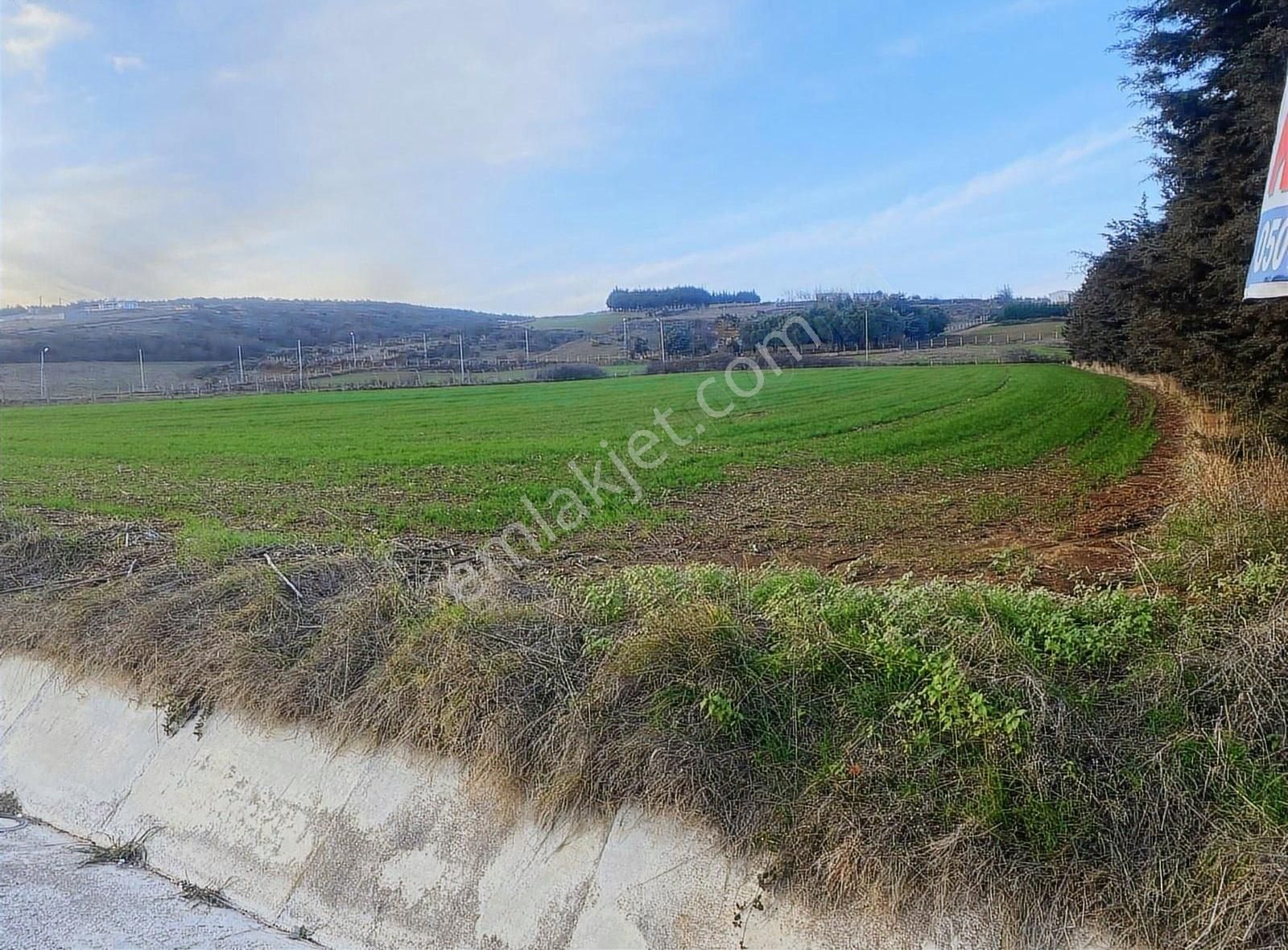 Çatalca Kestanelikte Muhteşem Konumda 8.000m2 Tarla - Görsel 3