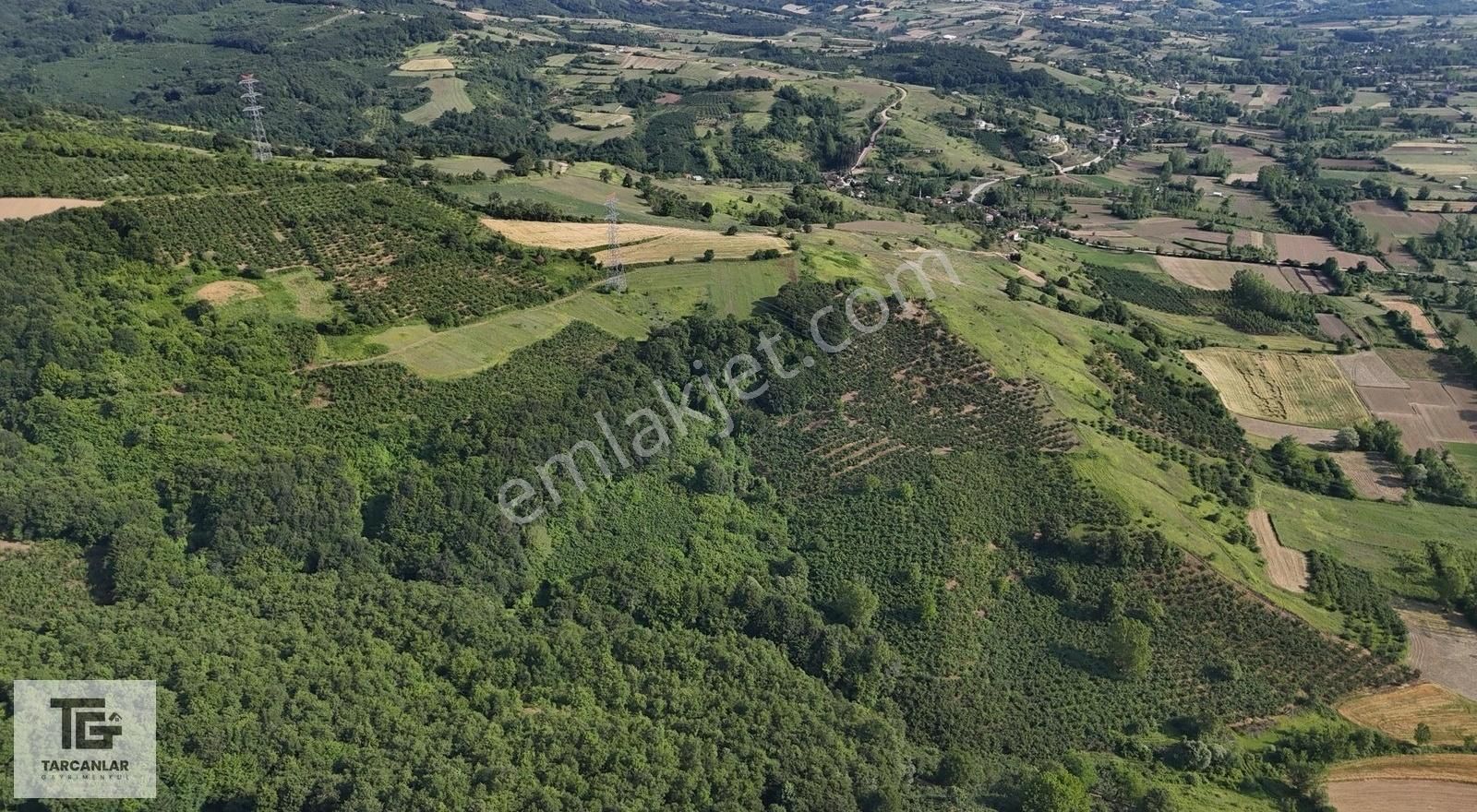 Tarcanlar'dan Kandıra Elmacık'ta Satılık 3608 M2 Fındık Bahçesi
