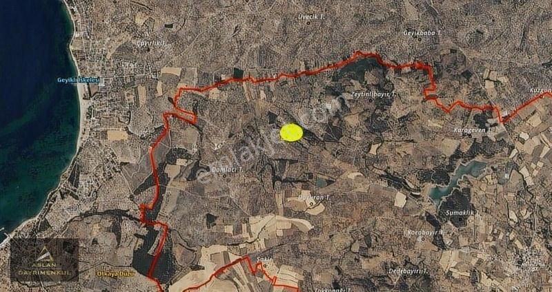 Çanakkale Ezine Kemallıda Satılık 3 Adet Zeytinli Tarla