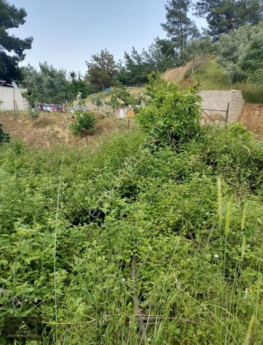 Aslan Gayrimenkulden Kemalpaşa Armutlu'da Satılık Tarla