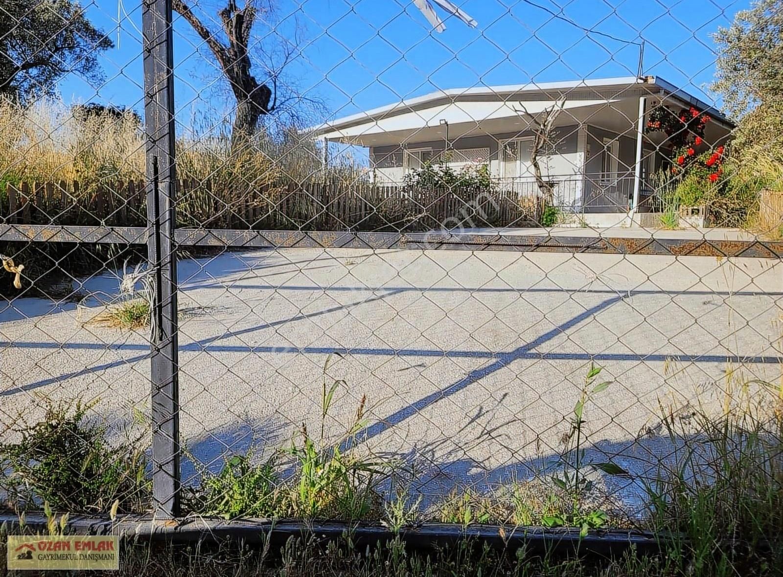Ozan Emlaktan Torbalı Dağkızılcada Zeytinli Tarla Ve Bağ Evi