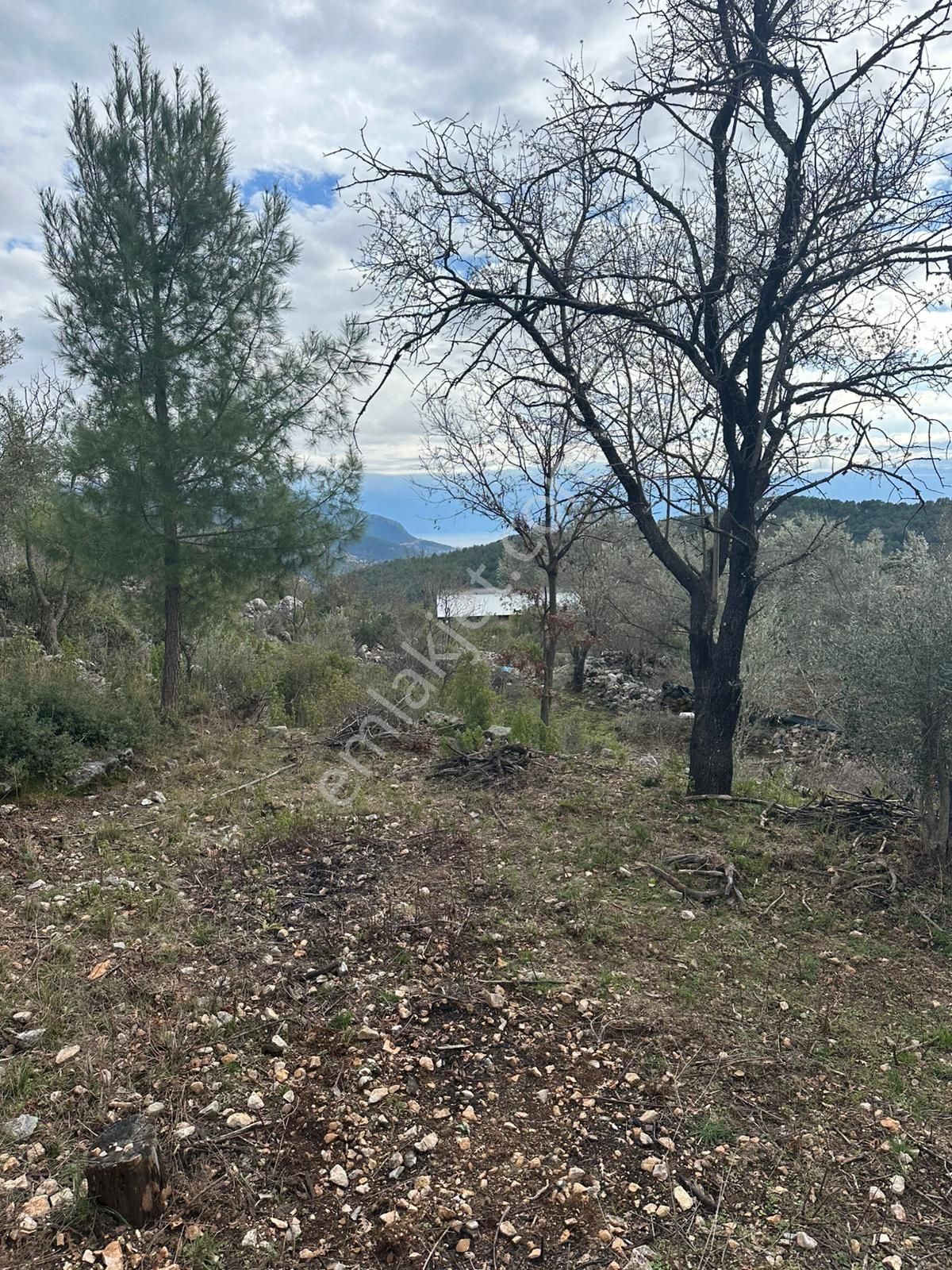 215 M² Hobi Bahçesi Yerimiz