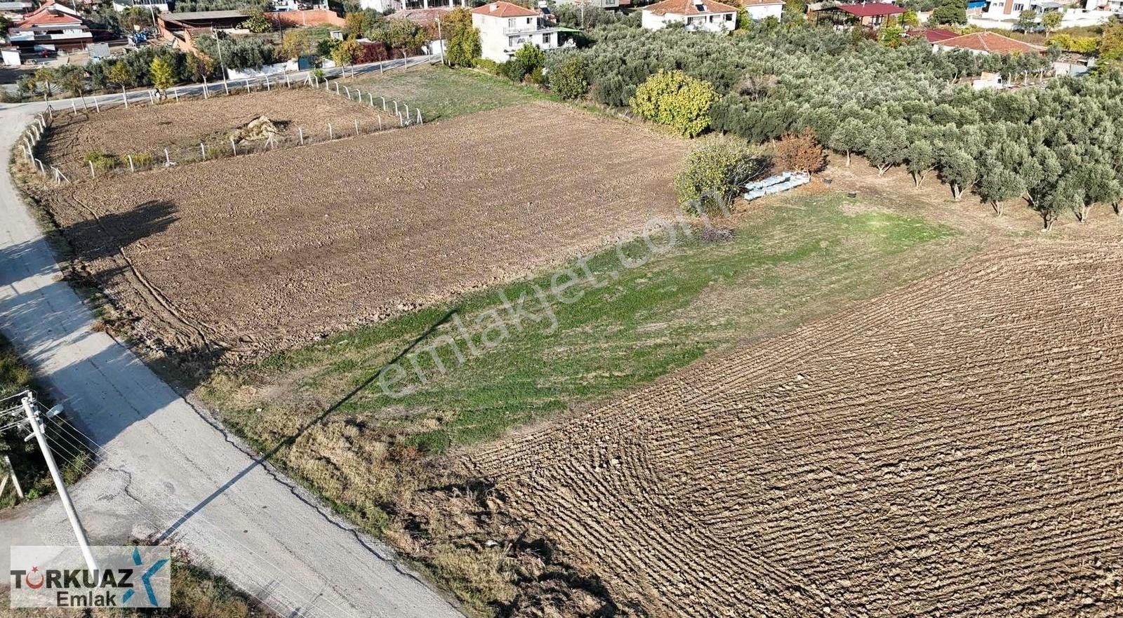 Eğerci Yolu Üzeri Köşe Parsel Arsa(uygun Fiyatlı)