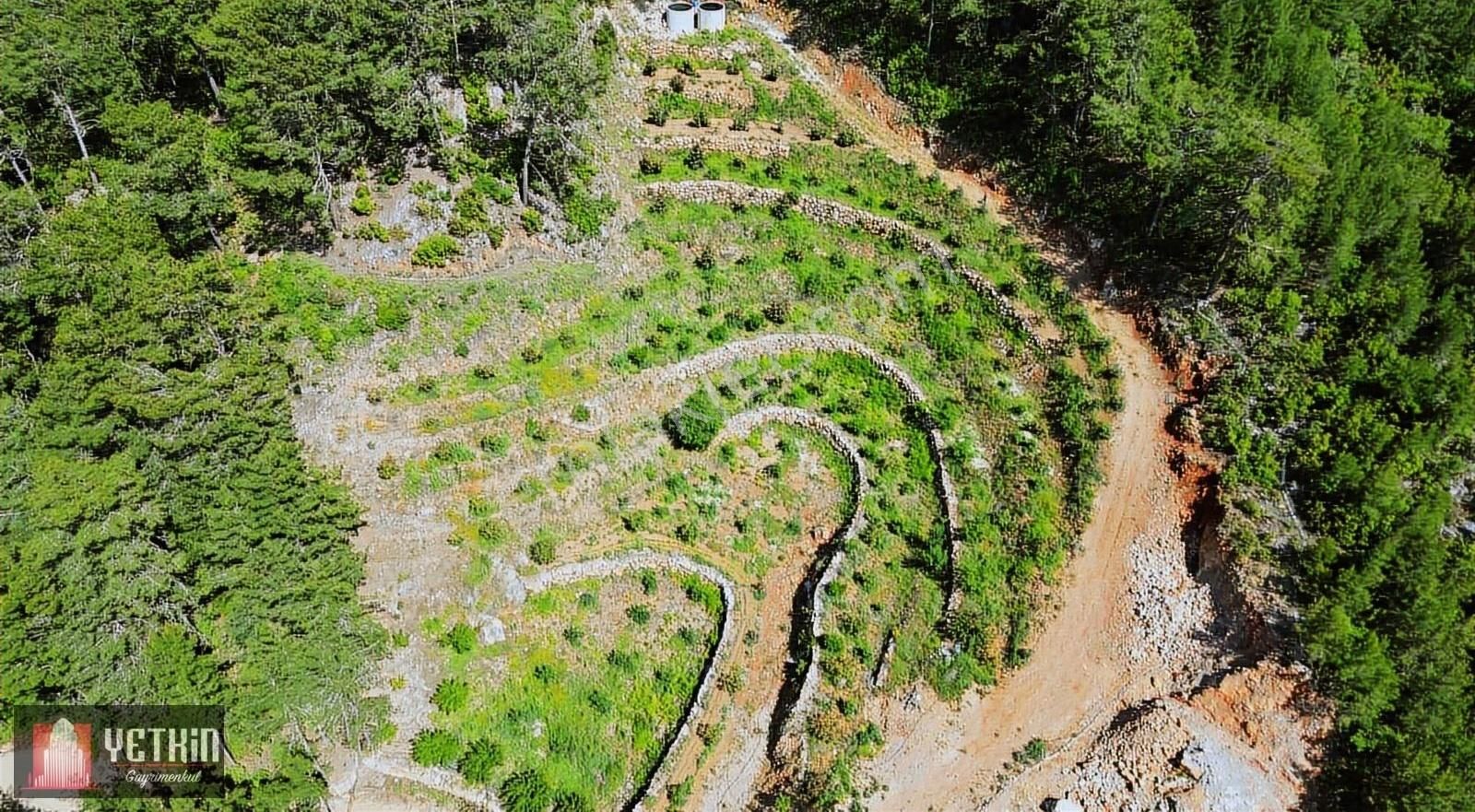 Alanya Oba Alacami'de Satılık 11 Dönüm Kurulu Düzen Bahçe - Görsel 13