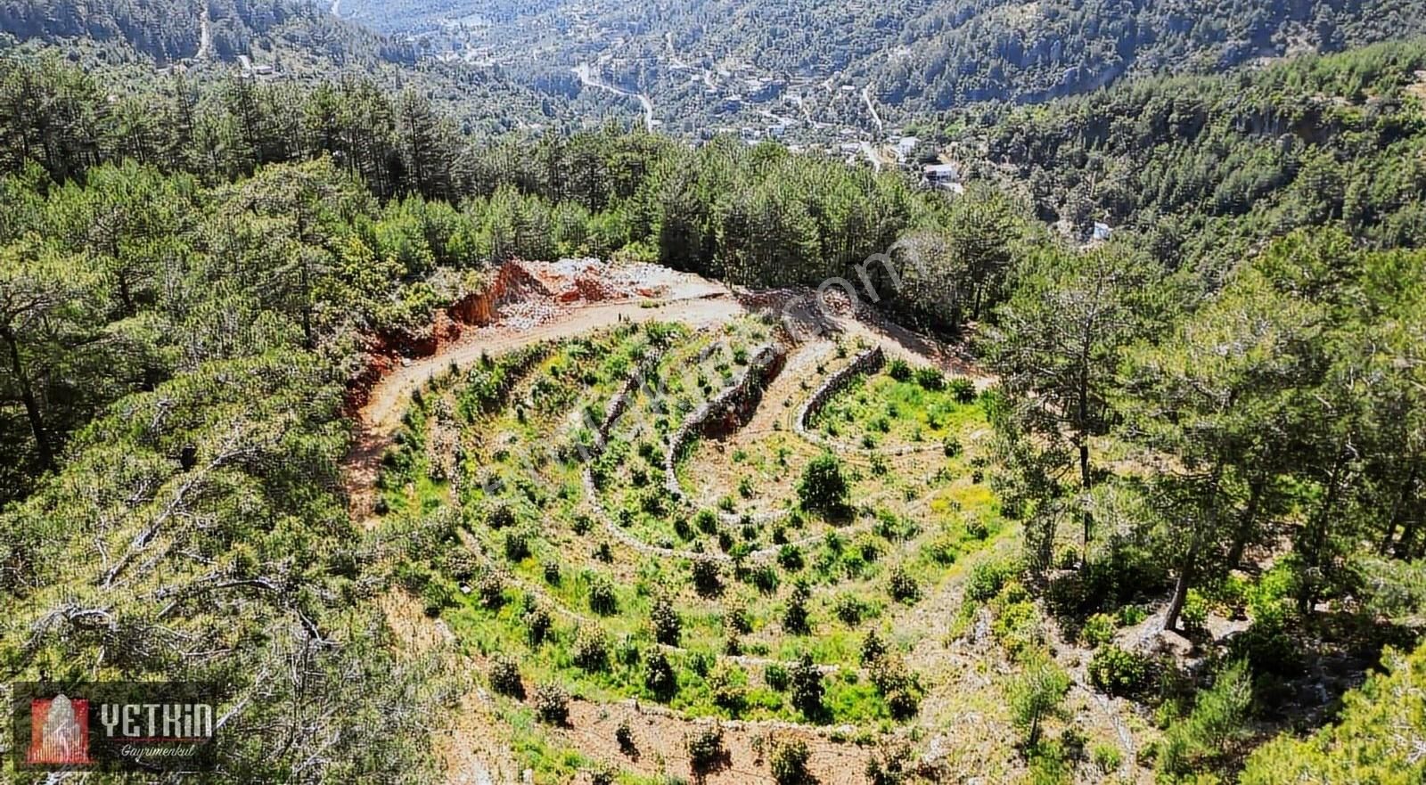 Alanya Oba Alacami'de Satılık 11 Dönüm Kurulu Düzen Bahçe - Görsel 10