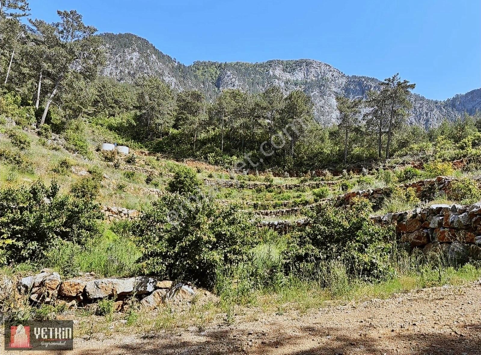 Alanya Oba Alacami'de Satılık 11 Dönüm Kurulu Düzen Bahçe - Görsel 16