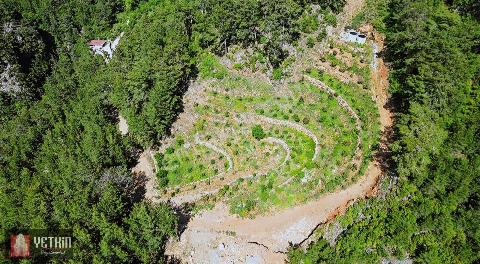 Alanya Oba Alacami'de Satılık 11 Dönüm Kurulu Düzen Bahçe - Görsel 23