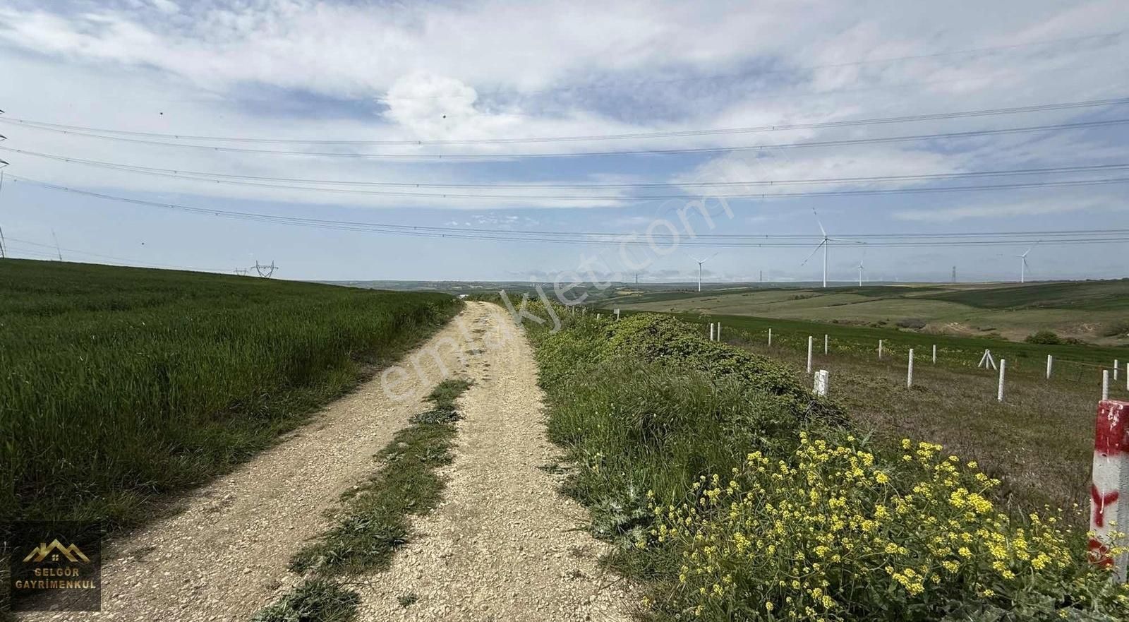 Silivri Fenerköy Yola Cephe 340m2 Telle Çevrili Satılık Arsa - Görsel 7