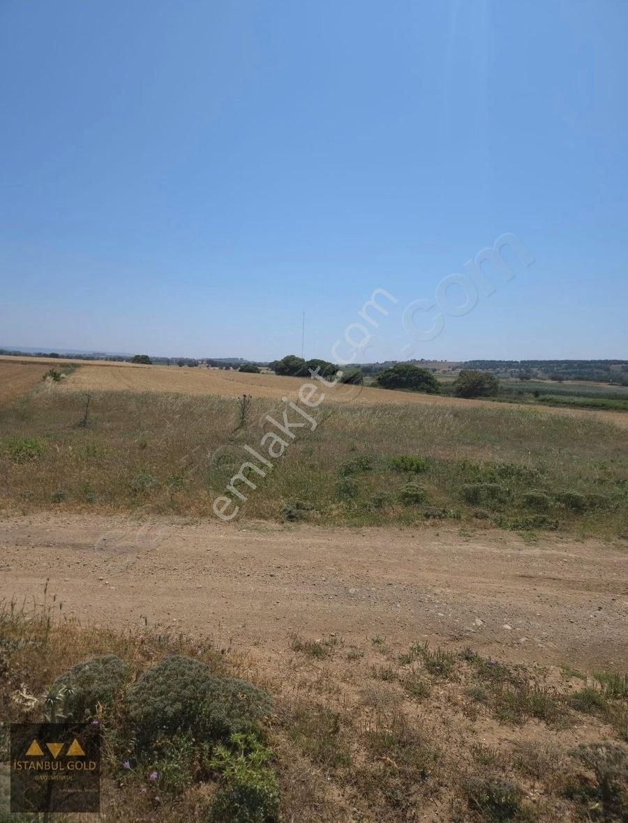 Çanakkale Karacaörende Denize Sıfır Tarla - Görsel 8